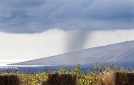 Wet season starts off with heavy showers,  but widespread drought still remains
